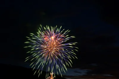 DSC_3346 (Large).JPG